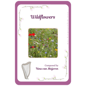 Wildflowers